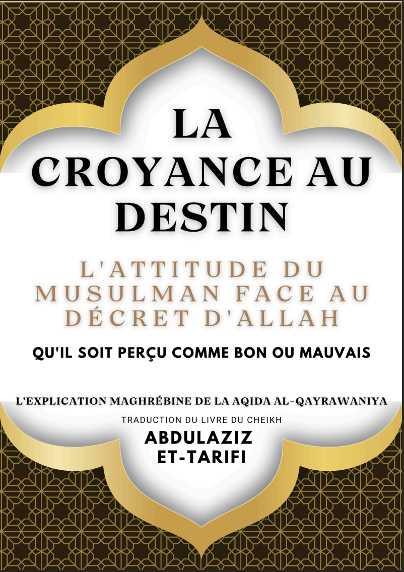 couverture livre "la croyance au destin"